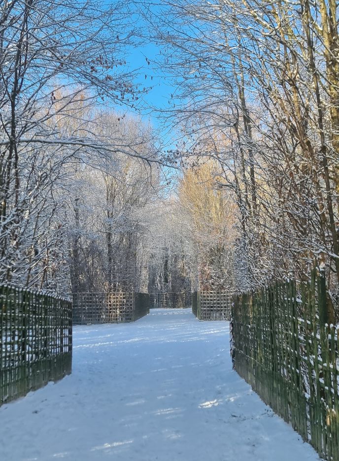 ヴェルサイユ宮殿 庭園